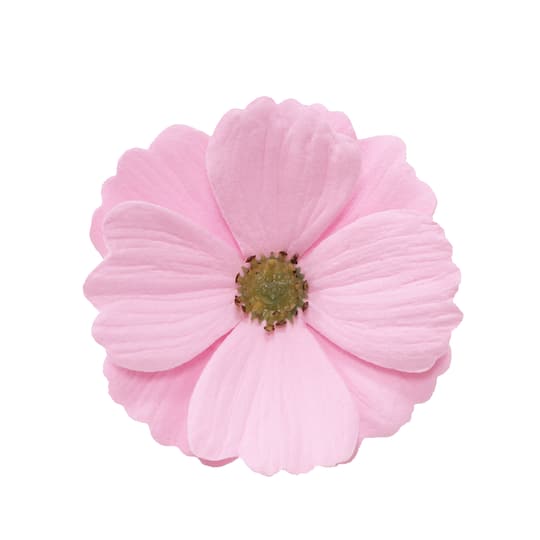 3" Cosmos Floral Accent by Ashland®